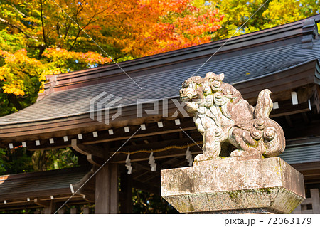 【滋賀県】　多賀大社 72063179