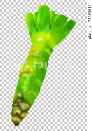 wasabi  72063615