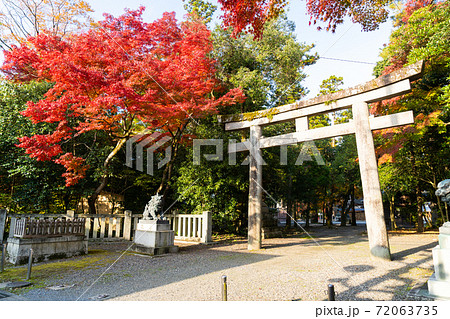 【滋賀県】　多賀大社 72063735