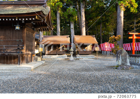 【滋賀県】　多賀大社 72063775