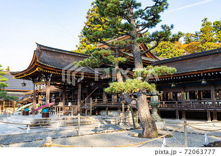 【滋賀県】　多賀大社 72063777