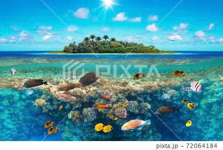 Beautiful sunny tropical beach on the island paradise in the middle of the sea Beautiful sunny tropical beach on the island paradise in the middle of the sea 72064184