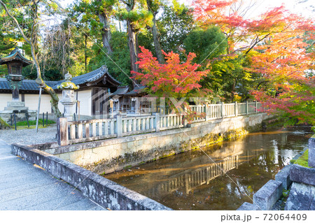 【滋賀県】 多賀大社 【滋賀県】 多賀大社 72064409