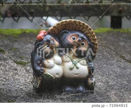 京都、嵯峨野トロッコ列車のたぬき 72064915