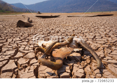 The drought land texture in Thailand. The global shortage of water on the planet. Global warming and greenhouse effect concept The drought land texture in Thailand. The global shortage of water on the planet. Global warming and greenhouse effect concept 72065233