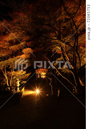 清林寺の紅葉@2020 清林寺の紅葉@2020 72065753