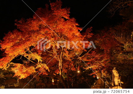 清林寺の紅葉@2020 清林寺の紅葉@2020 72065754