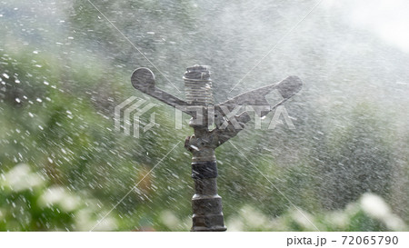 Water sprinkler system in the coffee plantation. 72065790