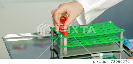Technician puts test tube to rack 72066376