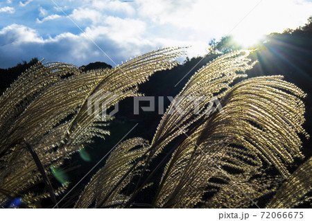 背景 バックグラウンド バックグランド 72066675