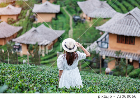 Happy tourist woman in white dress enjoy beautiful Tea garden.Traveler visiting in Ban Rak Thai village, Mae Hong Son, Thailand. travel, vacation and holiday concept Happy tourist woman in white dress enjoy beautiful Tea garden.Traveler visiting in Ban Rak Thai village, Mae Hong Son, Thailand. travel, vacation and holiday concept 72068066