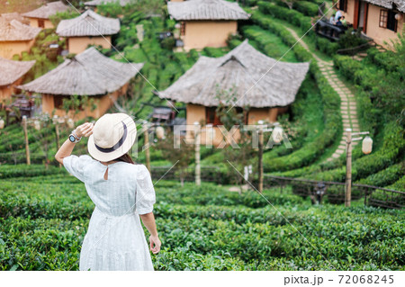 Happy tourist woman in white dress enjoy beautiful Tea garden.Traveler visiting in Ban Rak Thai village, Mae Hong Son, Thailand. travel, vacation and holiday concept Happy tourist woman in white dress enjoy beautiful Tea garden.Traveler visiting in Ban Rak Thai village, Mae Hong Son, Thailand. travel, vacation and holiday concept 72068245