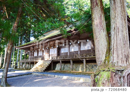 高野山 金剛峯寺 総本山 山王院 壇上伽藍（ 和歌山県 伊都郡 高野町 ） 72068480