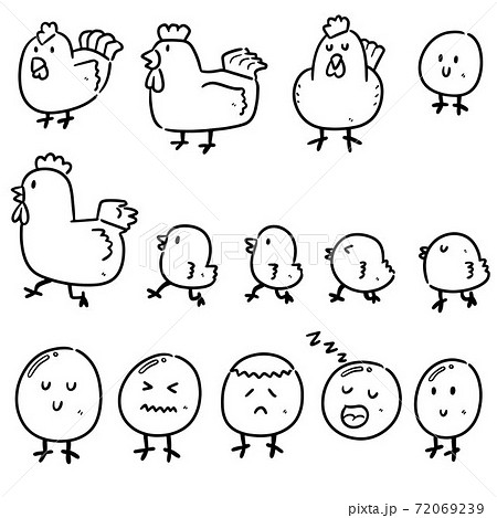 vector set of chicken and egg vector set of chicken and egg 72069239