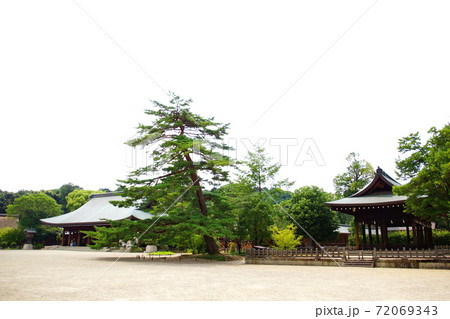 橿原神宮 外拝殿 & 土間殿 ( 奈良県 橿原市 )2018年8月 橿原神宮 外拝殿 & 土間殿 ( 奈良県 橿原市 )2018年8月 72069343