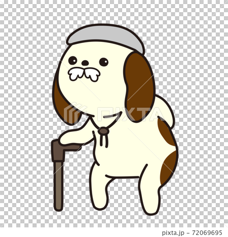 一隻年老的狗出去，比格犬的爺爺 72069695