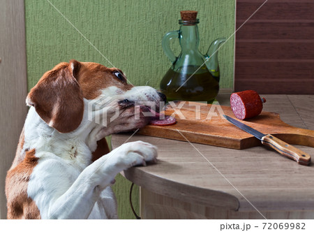 kitchen pilferer 72069982
