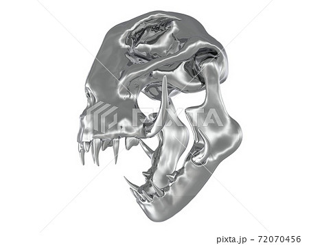 Metal monster skull isolated on white background 3d illustration Metal monster skull isolated on white background 3d illustration 72070456