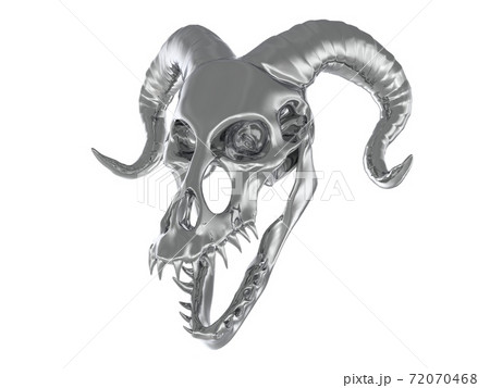 Metal monster skull isolated on white background 3d illustration Metal monster skull isolated on white background 3d illustration 72070468
