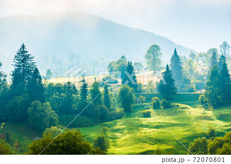 Nature landscape of green hills 72070801