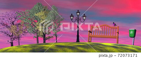 Sunset in a park Sunset in a park 72073171