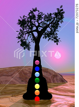 Chakras in meditation 72073276