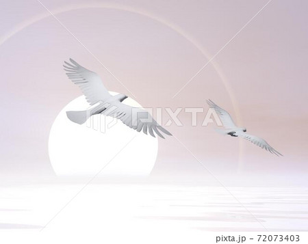 Free doves - 3D render Free doves - 3D render 72073403