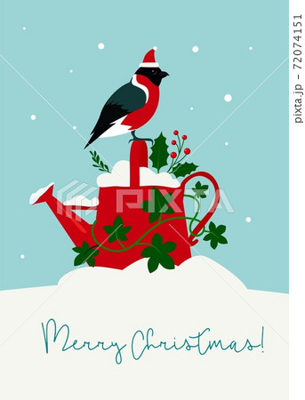Cute Christmas card watering can with holly and ivy leaves , bullfinch 72074151