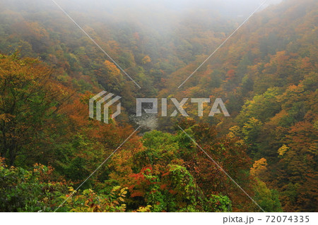 岩手県西和賀町 紅葉の錦秋湖 岩手県西和賀町 紅葉の錦秋湖 72074335