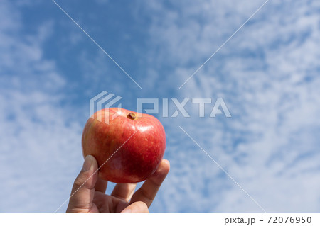 りんご 青空に掲げる林檎 男性の手 11月 こうとくの写真素材