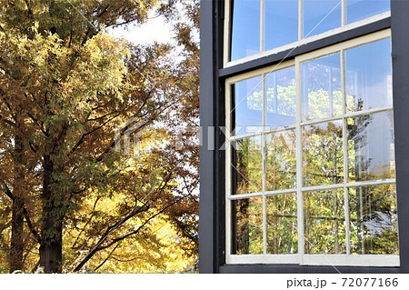 黄葉の「外交官の家」 72077166