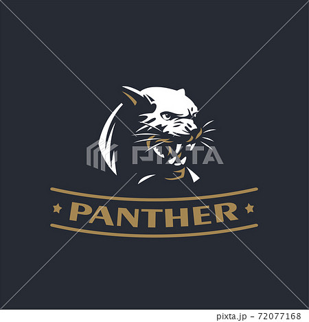 The angry panther 72077168