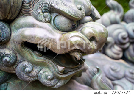 狛犬のクロースアップ 72077324