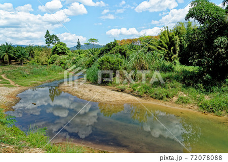 Walking in the tropical forest - Thailand 72078088