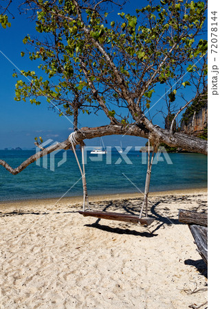 Wooden swing hang under tree at the beach 72078144