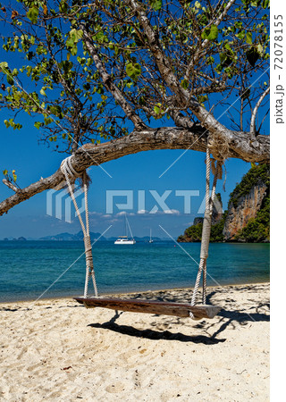 Wooden swing hang under tree at the beach 72078155