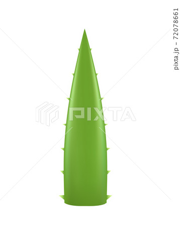 Aloe Vera plant leaf logo icon. Aloe vera isolated succulent gel health plant illustration Aloe Vera plant leaf logo icon. Aloe vera isolated succulent gel health plant illustration 72078661