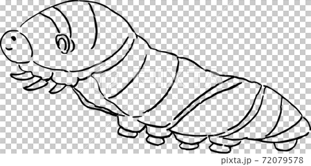 The larva of the clover 72079578