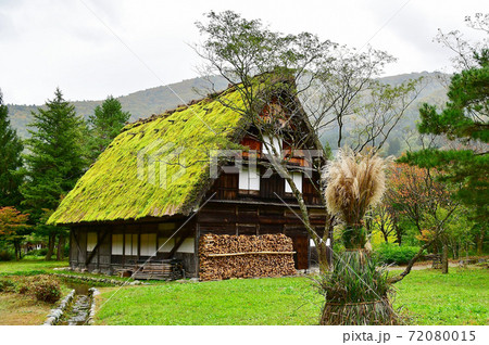 白川郷の秋 白川郷の秋 72080015