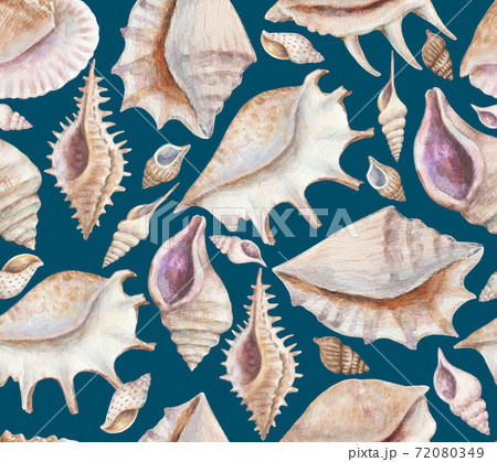 Seamless pattern with sea shells and conchs. Watercolor painting.  72080349