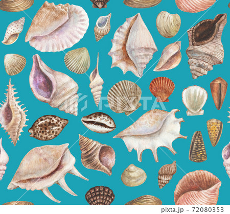 Seamless pattern with sea shells and conchs. Watercolor painting.  72080353