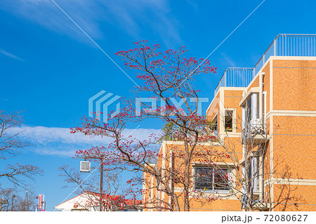 東京都 多摩ニュータウン 東京都 多摩ニュータウン 72080627