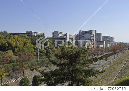 千里ニュータウン藤白台（大阪府吹田市）の府営吹田藤白台住宅 72080736