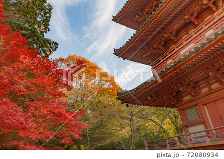 秋の神戸・太山寺・三重塔と紅葉 72080934