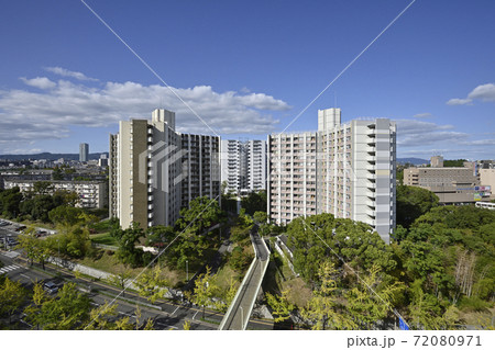 千里ニュータウン竹見台(大阪府吹田市)のUR千里竹見台団地/千里グリーンヒルズ竹見台 千里ニュータウン竹見台(大阪府吹田市)のUR千里竹見台団地/千里グリーンヒルズ竹見台 72080971