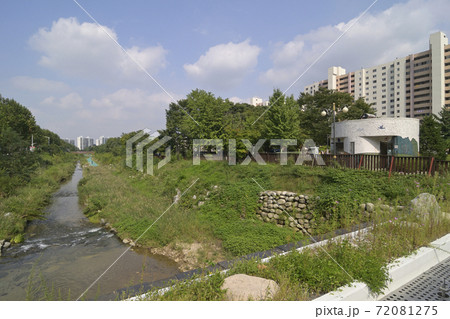 韓国の新都市：果川（グワチョン・Gwacheon）の街並み 72081275