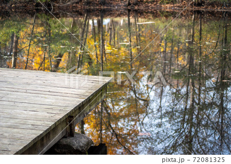 Autums trees colorful foliage refelcted in lake wooden dock copy space. 72081325