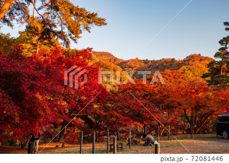 月の石もみじ公園【埼玉県長瀞町】 月の石もみじ公園【埼玉県長瀞町】 72081446