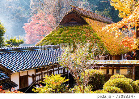 日本の秋の風景　苔むした茅葺屋根に積もるイチョウの黄色い落葉 72083247