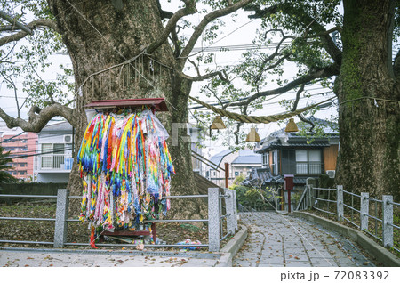 長崎の山王神社の折り鶴 長崎の山王神社の折り鶴 72083392